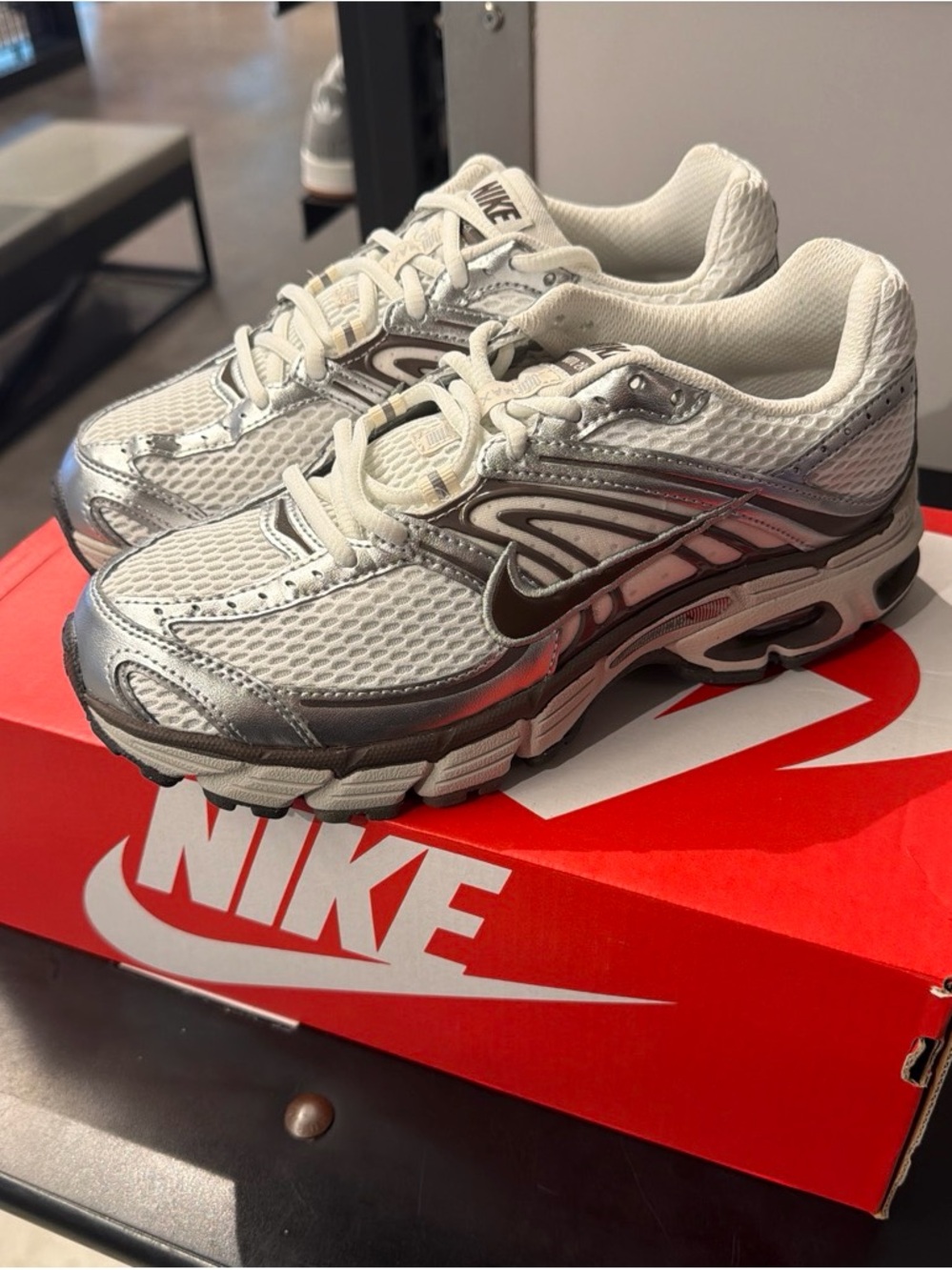 Nike Silver and White Women's Running Sneakers